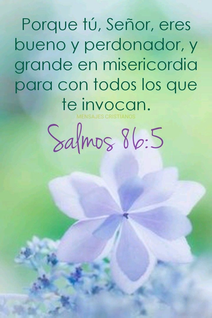 1dd656632a36cbb2561e50e3cc95eee0